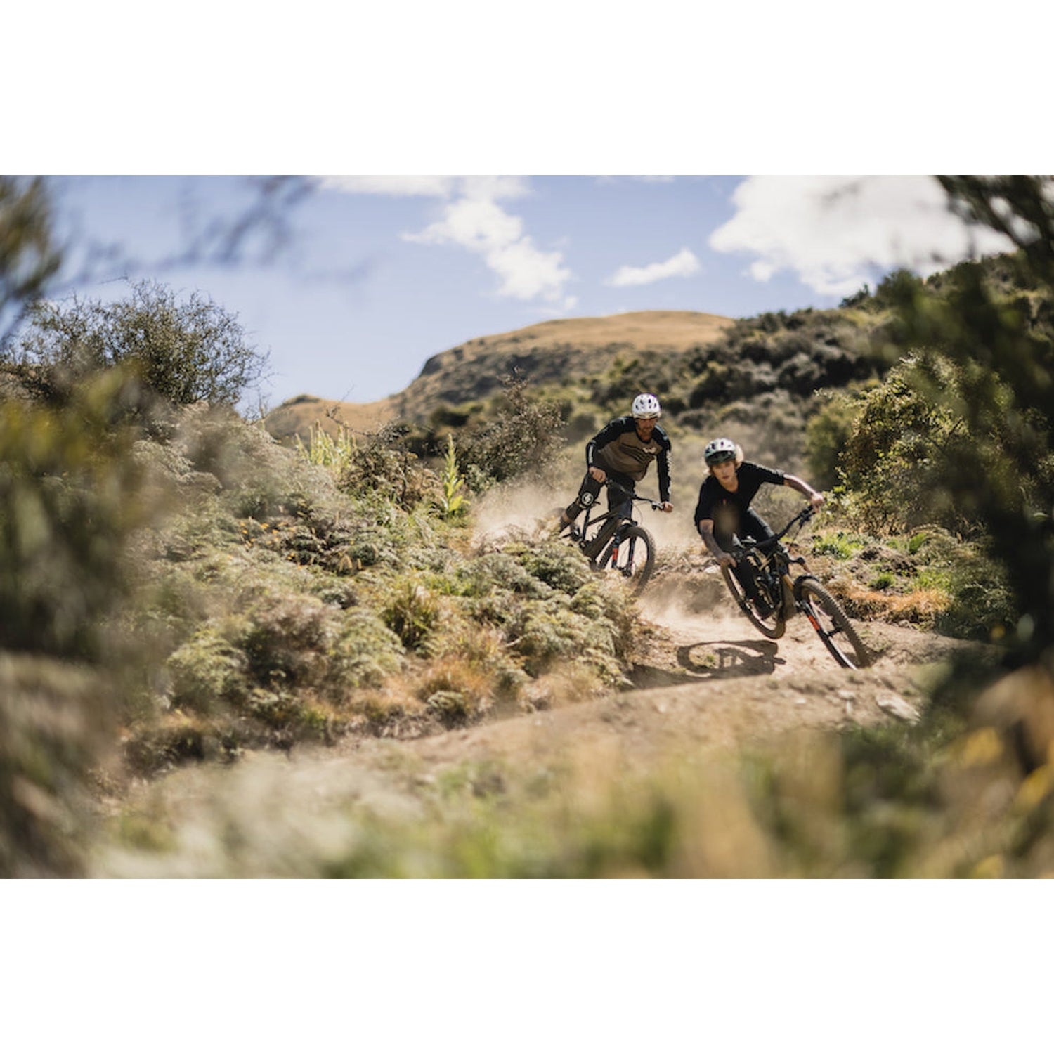 STUMPJUMPER
