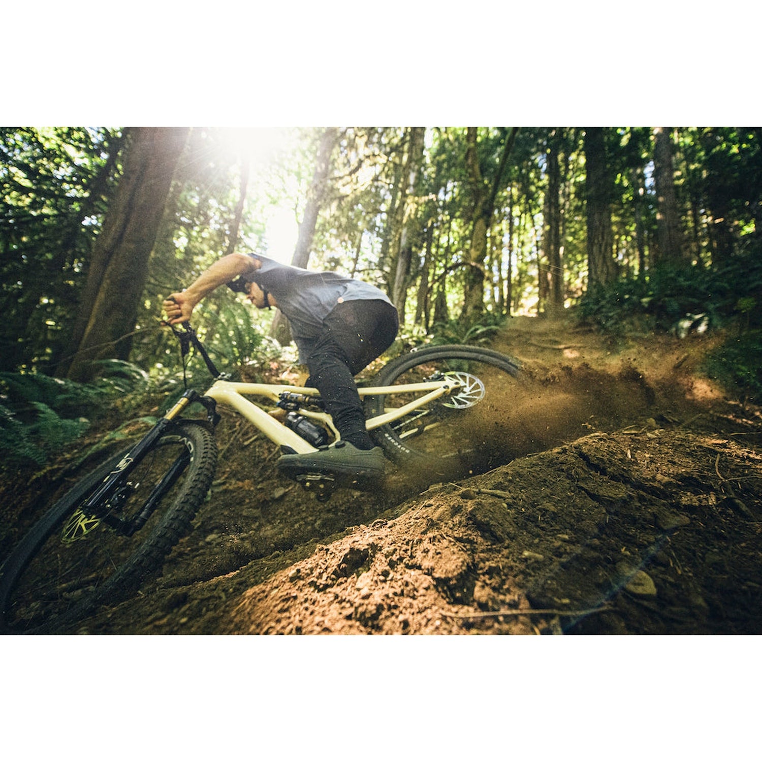 SPECIALIZED