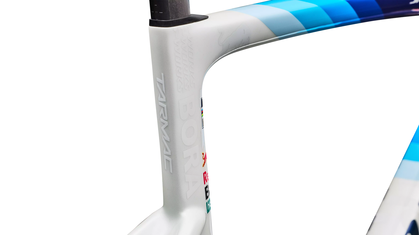 S-Works Tarmac SL9 Team Replica Frameset