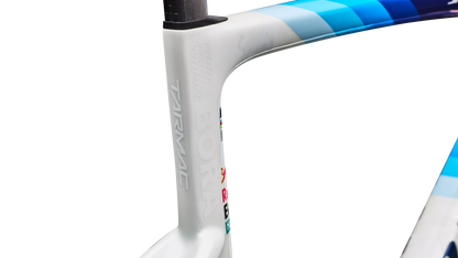 S-Works Tarmac SL9 Team Replica Frameset