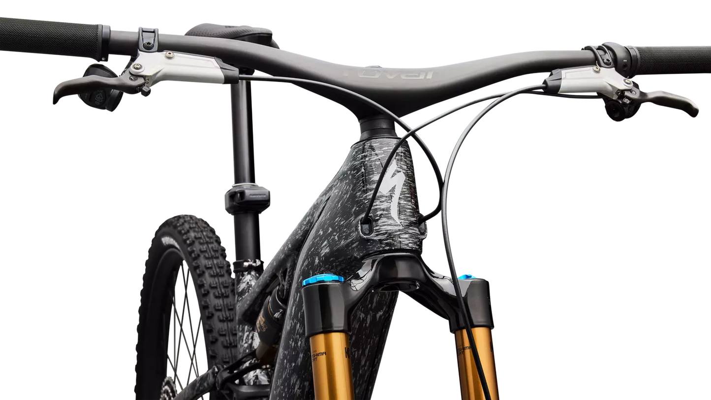 S-Works Turbo Levo R