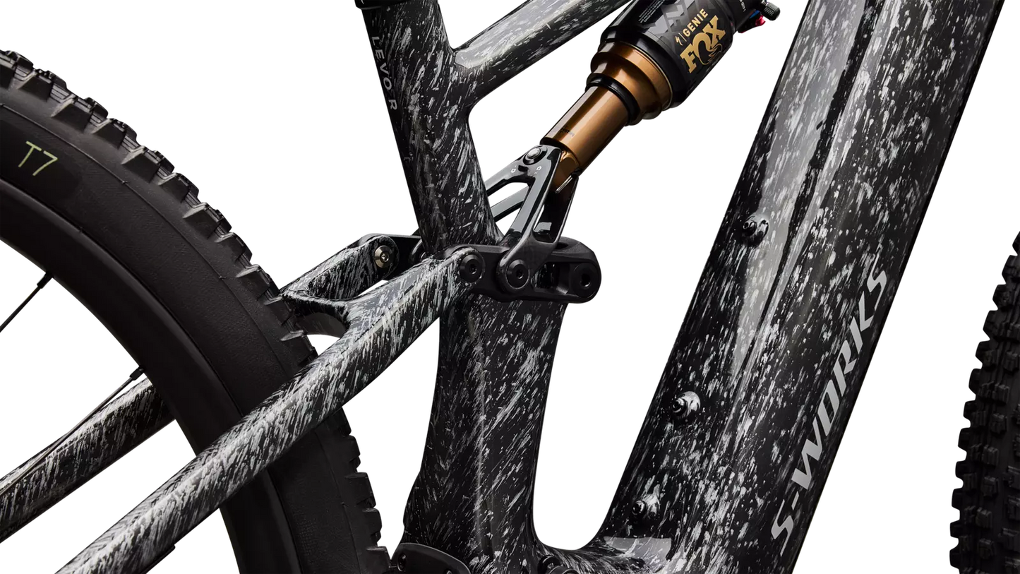 S-Works Turbo Levo R