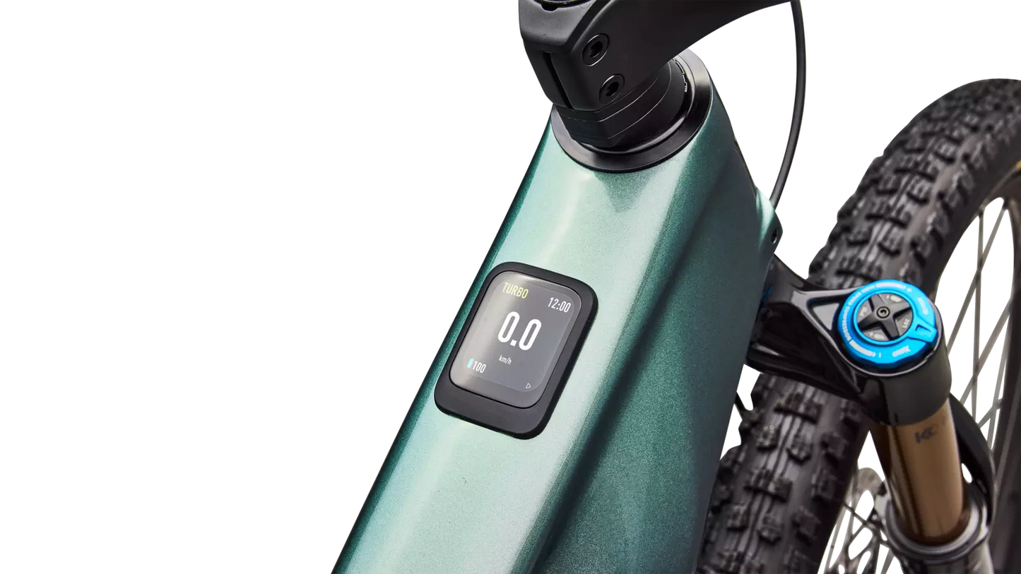 S-Works Turbo Levo R